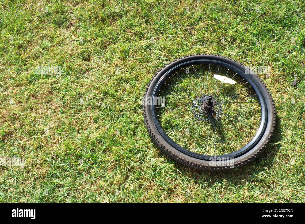 Pneumatico per mountain bike con disco freno all'aperto su erba Foto Stock