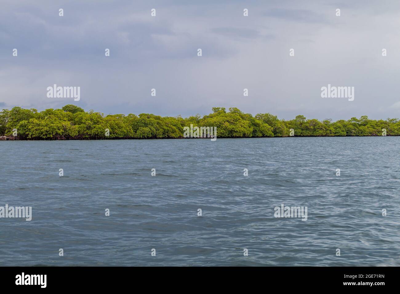Isola coperta di mangrovie nell'arcipelago di Bocas del Toro, Panama Foto Stock