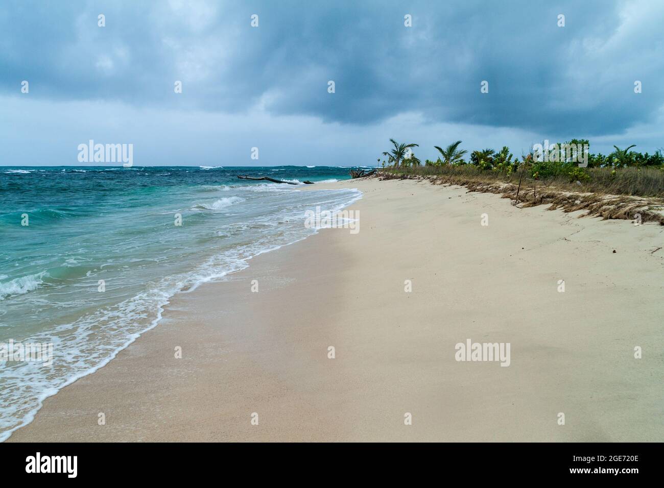 Spiaggia dell'isola di Isla Zapatilla, parte dell'arcipelago di Bocas del Toro, Panama Foto Stock