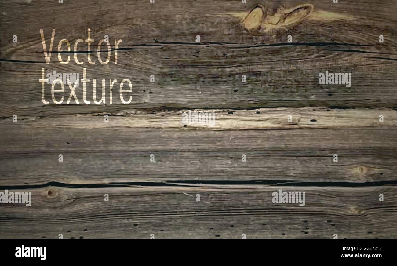 Struttura di legno vettoriale, sfondo di vecchie tavole di tronchi. Grunge vintage texture legno, sfondo vettoriale. Illustrazione vettoriale Illustrazione Vettoriale