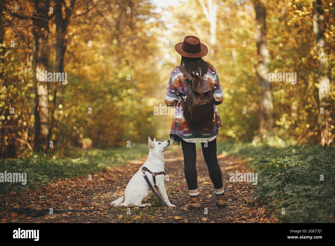 Elegante donna viaggiatore in cappello trekking con il cane carino in  soleggiato autunno boschi. Giovane hipster femminile che viaggia con il  cane bianco del pastore svizzero. Viaggiare con pe Foto stock -