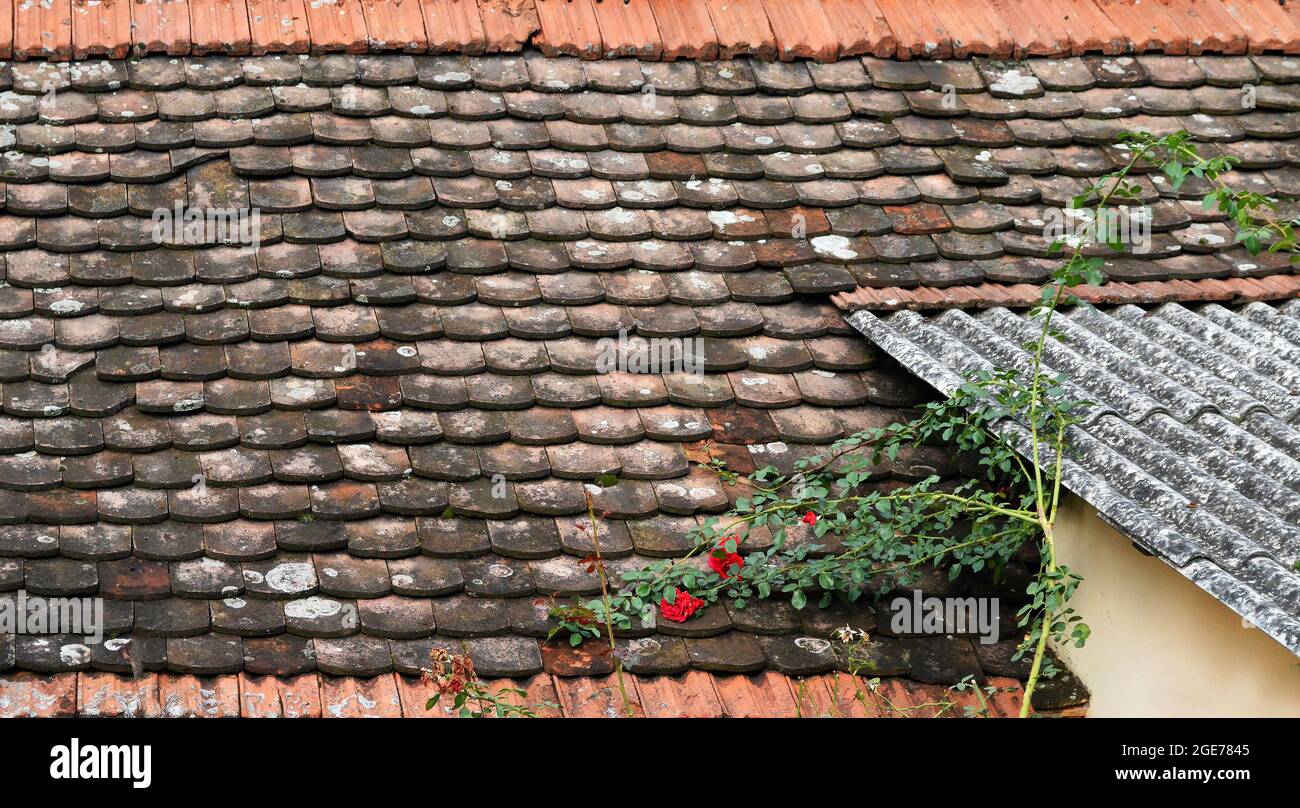 Vecchia tegola rossa del tetto tegola texture Foto Stock