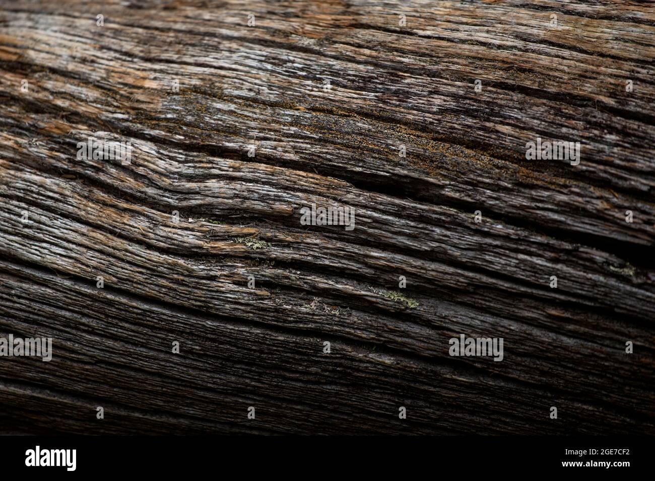 Sfondo naturale di legno invecchiato e fessurato Foto Stock