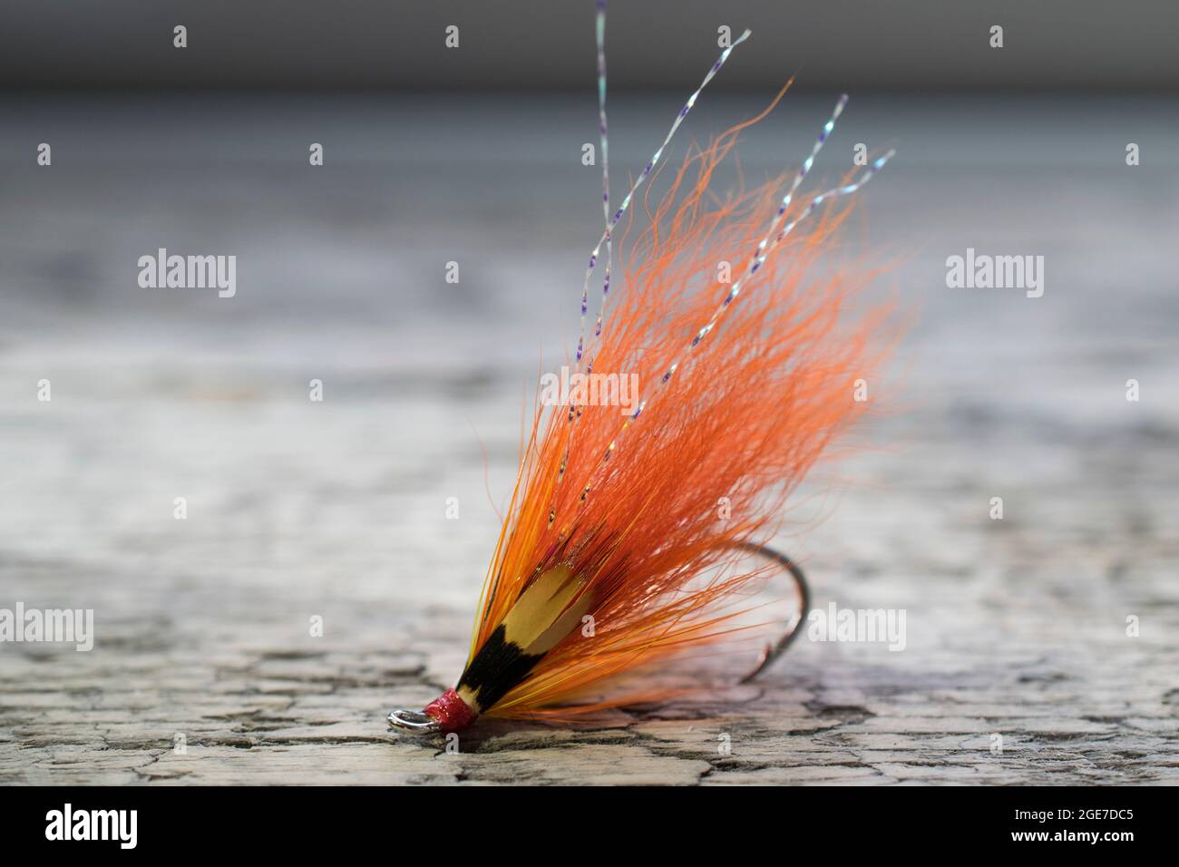 Pesca di salmone lucido volare con flash giallo su una superficie di legno Foto Stock