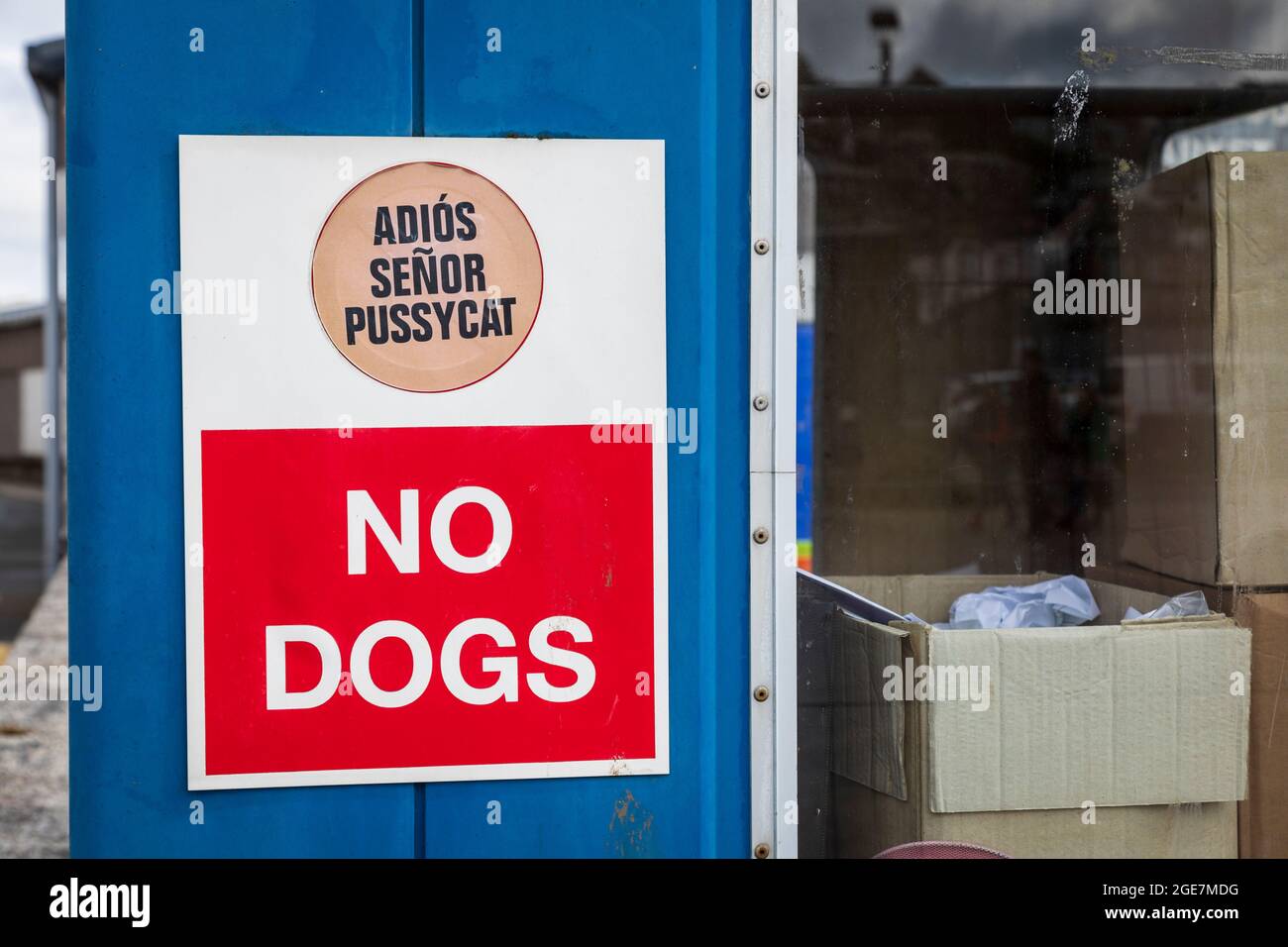 Segnale di avvertimento 'No Dogs' e 'Arrivederci to cats' in spagnolo 'Adios senor pussycat', Cornovaglia. Foto Stock