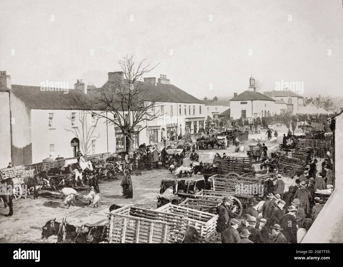Una vista del tardo 19 ° secolo di una Fiera del maiale, parte di un mercato agricolo di Abbeyleix, una città nella contea di Laois (alias a quel tempo come Queen's County, Irlanda. Abbeyleix moderno è una delle più antiche città di proprietà progettate in Irlanda. Fu costruita in gran parte nel XVIII secolo dal Visconte de Vesci, ma la regolare inondazione del fiume Nore rese la città un luogo malsano per vivere. Intorno al 1790, John Vesey determinò che la posizione della città non era adatta ai suoi inquilini, ne progettò una nuova e quando la città vecchia fu livellata, i residenti si trasferirono nella nuova. Foto Stock