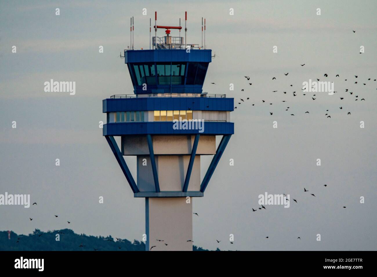 Aeroporto di Colonia-Bonn, CGN, torre del controllo tedesco del traffico aereo, DFS, luogo di lavoro dei controllori del traffico aereo, gregge di uccelli, NRW, Germania, Foto Stock