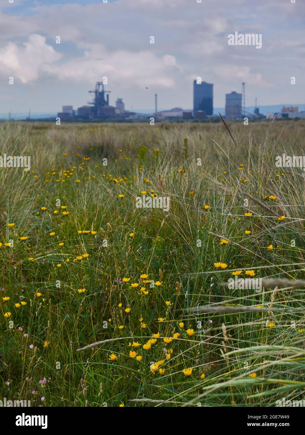 Una vista ad angolo basso attraverso l'erba di raggera e di marram, su campi di scorie disutilizzati, rigenerati dalla natura e ricoperti di erba, ad un acciaieria derelitto. Foto Stock