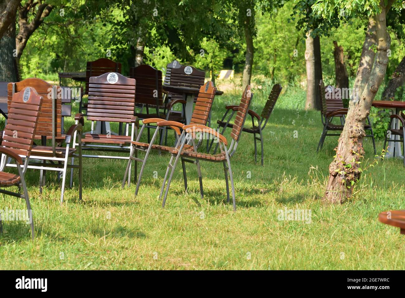 Zywiec. Panchine tra alberi e erbe con il segno Żywiec. Estate. Foto Stock