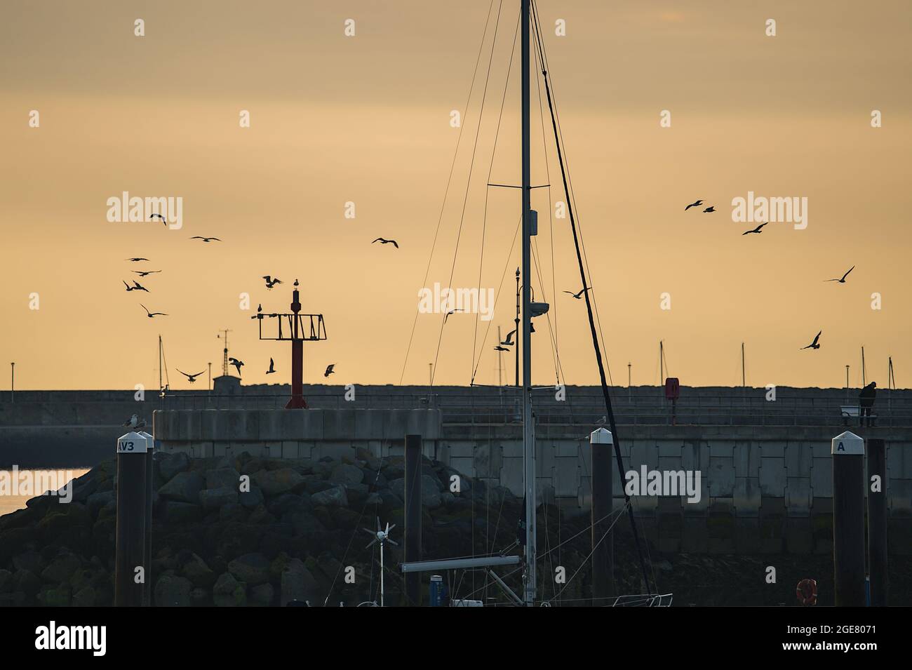 Vista mattutina dei gabbiani che sorvolano le imbarcazioni e gli yacht con il cielo epico e arido arancio dell'alba nel porto di Dun Laoghaire visto dal molo ovest Foto Stock