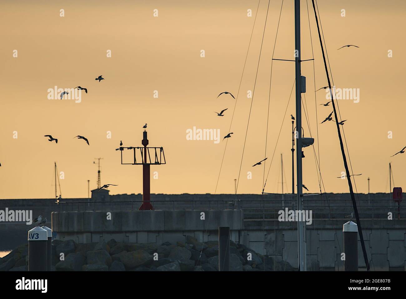Vista mattutina dei gabbiani che sorvolano le imbarcazioni e gli yacht con il cielo epico e arido arancio dell'alba nel porto di Dun Laoghaire visto dal molo ovest Foto Stock