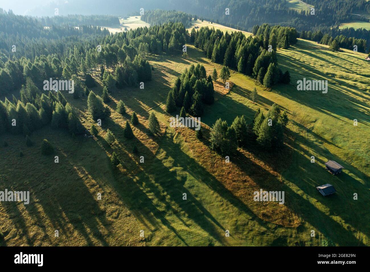 Vista aerea ad alto angolo degli alberi che gettano lunghe ombre di silhouette sul terreno durante l'alba delle prime ore del mattino nelle Dolomiti Foto Stock