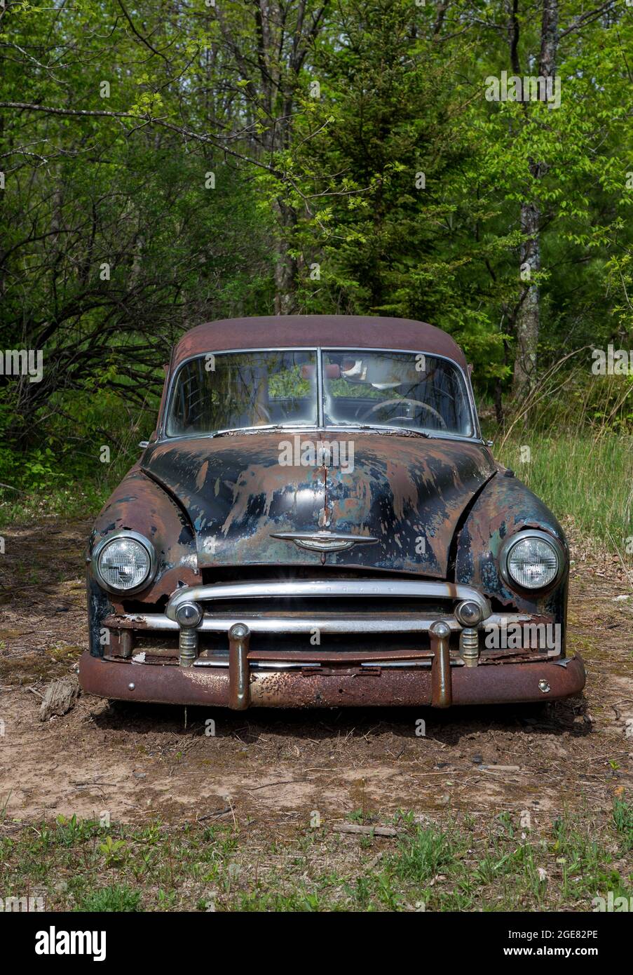 Questo vecchio Chevy si trova tra gli alberi in Edgewood Orchard Galleries Fish Creek Foto Stock