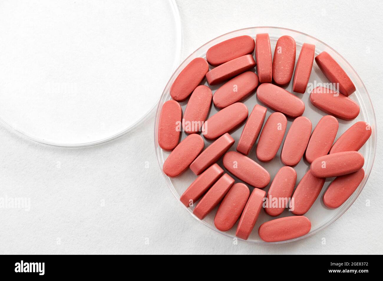 Laboratorio farmaceutico e concetto di ricerca farmaceutica con pillole mediche rosa in una piastra Petri isolata su bianco con spazio di copia Foto Stock