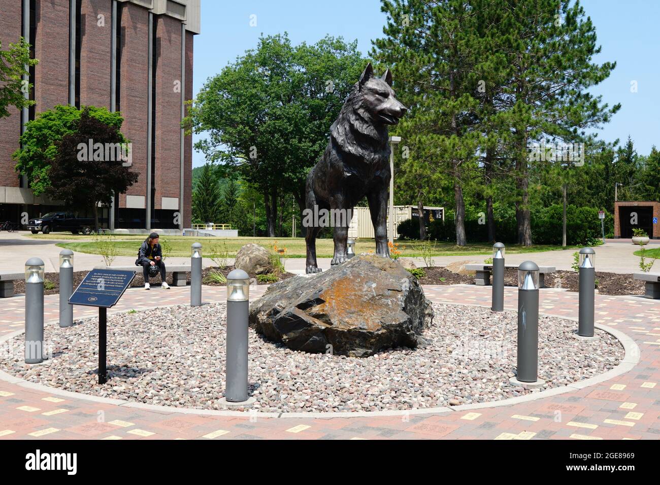Una statua di un cane Husky nel campus della Michigan Technological University Foto Stock