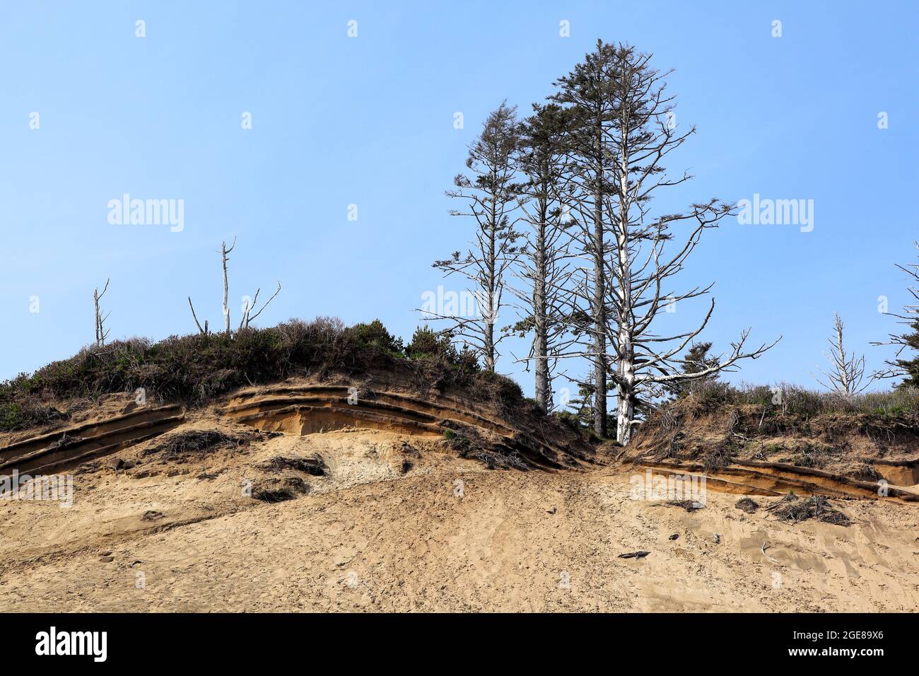 Lungo la costa dell'Oregon: La cima delle dune di sabbia dell'area naturale dello stato di Cape Kiwanda, una delle tre fermate lungo il percorso panoramico dei tre capes sul th Foto Stock