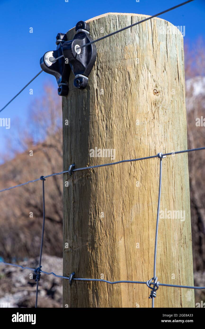 Primo piano di isolatori attaccati ad un palo e recinto di fattoria di rete lungo il confine della fattoria e letto del fiume, Canterbury, Nuova Zelanda Foto Stock