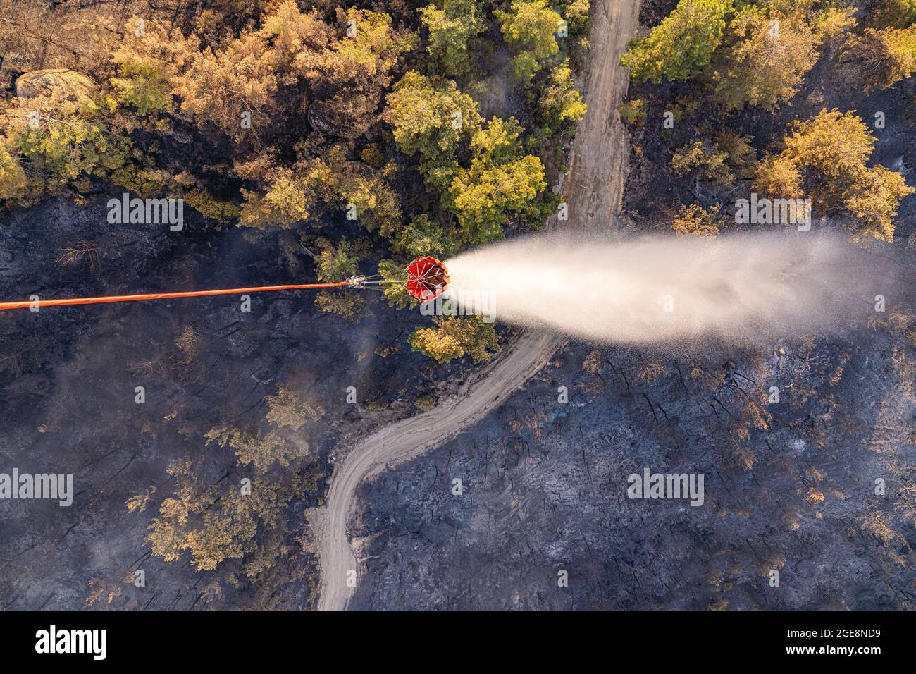 Gli equipaggi dell'esercito degli Stati Uniti assegnati a Bravo Company, 1° Battaglione, 14° Reggimento dell'aviazione, 12° Brigata dell'aviazione di combattimento, rilasciano acqua da un secchio attaccato a un Chinook CH-47 mentre l'equipaggio vola nella Turchia occidentale durante una missione di lotta aerea il 15 agosto 2021. E' la prima volta che molti membri dell'equipaggio combattono incendi. (STATI UNITI Esercito foto di staff Sgt. Christopher Stewart) Foto Stock
