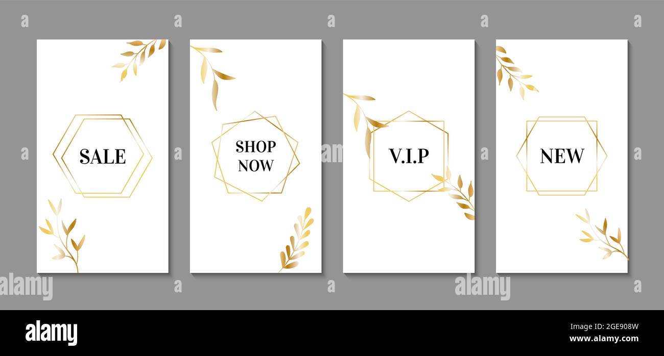 Modelli di storie di lusso vettoriali per instagram. Foglie d'oro e cornici  con testo su sfondo bianco Immagine e Vettoriale - Alamy
