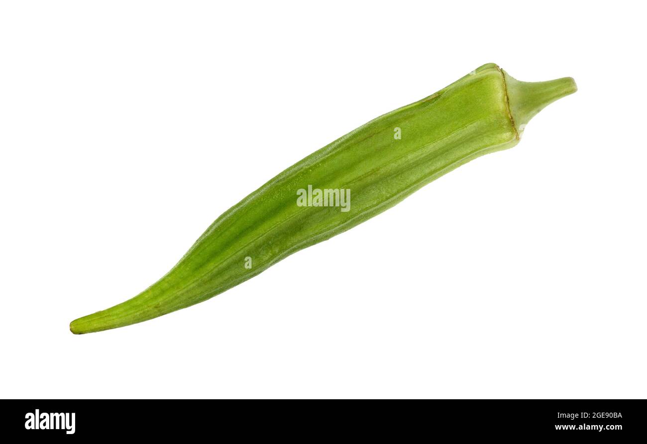 frutti di okra freschi (abelmoschus esculentus) isolati su sfondo bianco Foto Stock