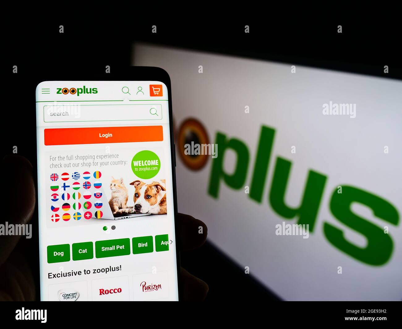 Persona che tiene lo smartphone con il sito web della società tedesca Zooplus AG di vendita al dettaglio di alimenti per animali domestici sullo schermo di fronte al logo. Concentrarsi sul centro del display del telefono. Foto Stock Persona che tiene lo smartphone con il sito web della società tedesca Zooplus AG di vendita al dettaglio di alimenti per animali domestici sullo schermo di fronte al logo. Concentrarsi sul centro del display del telefono. Foto Stock