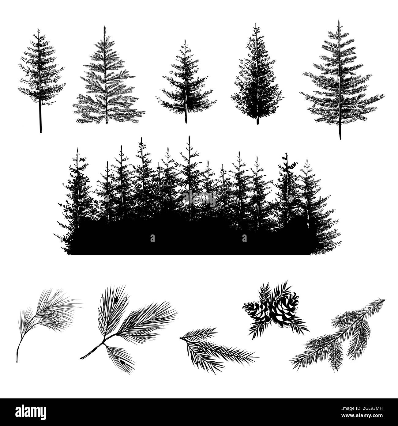 Set di silhouette di alberi onifer su bianco Illustrazione Vettoriale