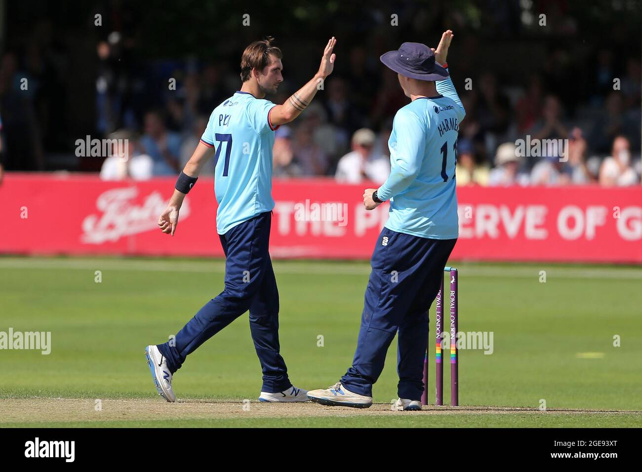 Jack Plom of Essex celebra la presa del wicket di Tom Haines durante Essex Eagles vs Sussex Sharks, Royal London One-Day Cup Cricket al Cloudfm Co Foto Stock