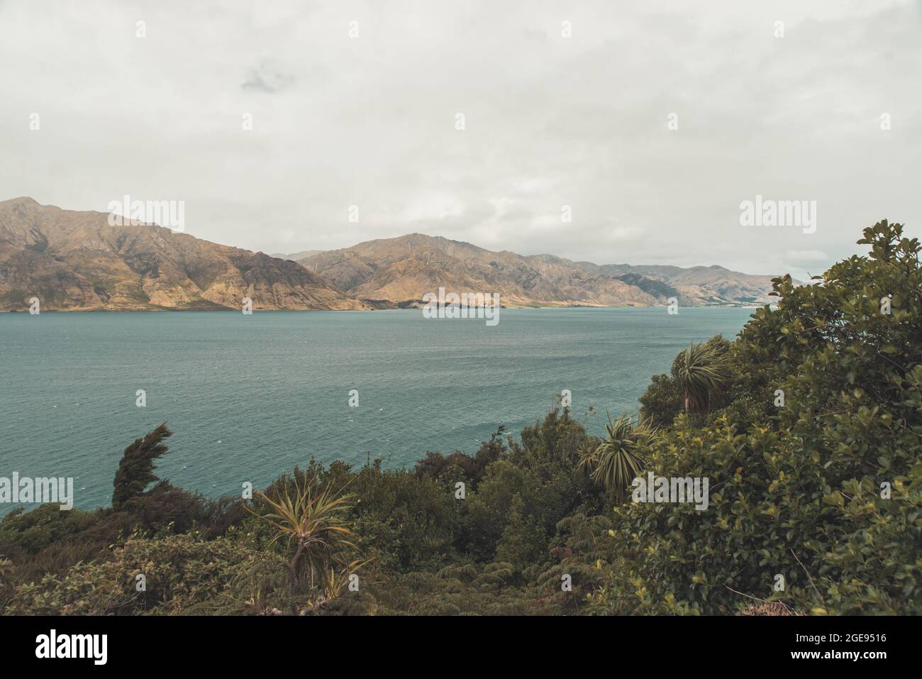 Nuova Zelanda paesaggio Foto Stock