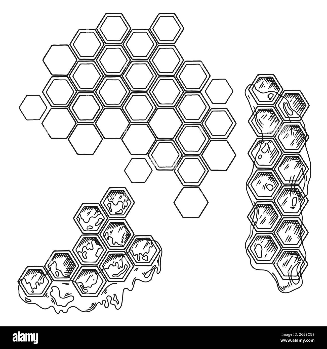 Schizzo di nido d'ape con miele isolato su sfondo bianco. Illustrazione vettoriale Illustrazione Vettoriale