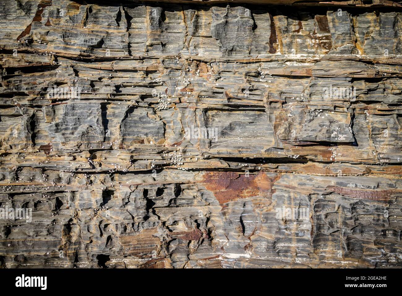 Modello naturale di roccia a forma di onde marine nella costa del Portogallo Foto Stock