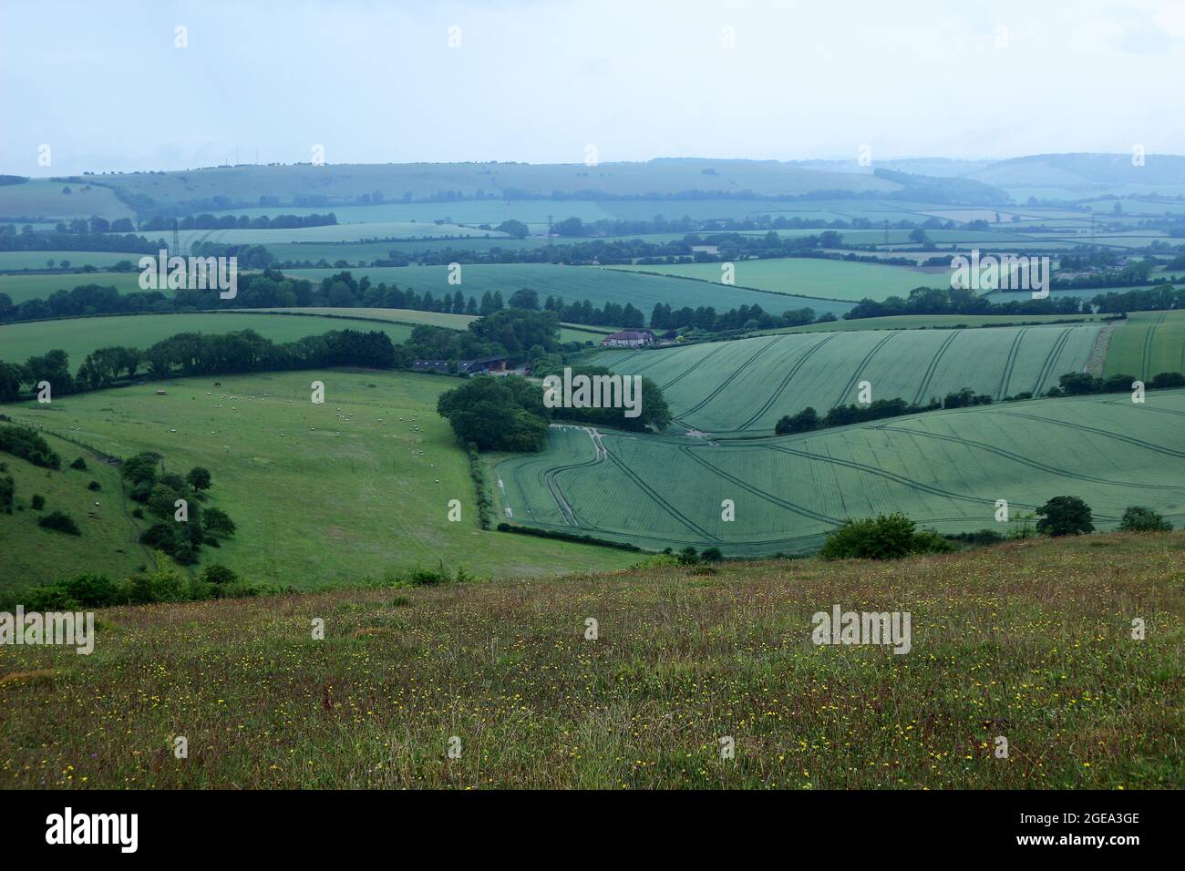 Un mosaico di campi nel South Downs National Park Foto Stock