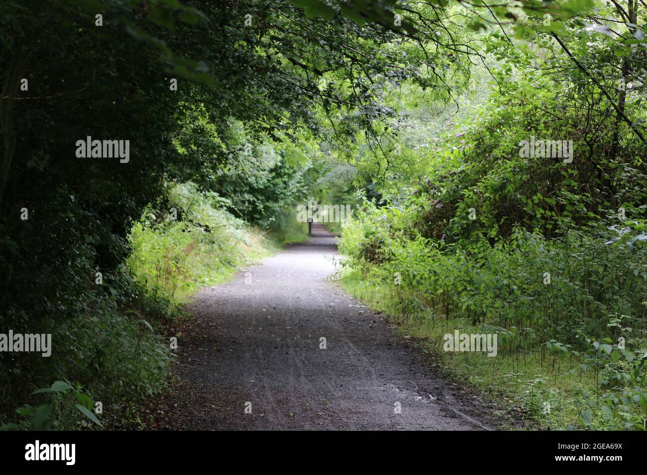 Llanilar ceredigion Galles regno unito meteo 18 agosto 2021. Una mattina luminosa e soleggiata in Galles e una visita ad una stazione ferroviaria abbandonata a Llanilar vicino Aberystwyth. La stazione e la linea chiuse a metà degli anni sessanta e le piattaforme sopravissute sopravvivono con la vecchia linea chiamata Ystwyth Trail usata per gli escursionisti e il ciclismo. Un vicino ponte sospeso attraversa l'adiacente fiume Ystwyth vicino alla vecchia stazione. Credit: mike davies/Alamy Live News Foto Stock