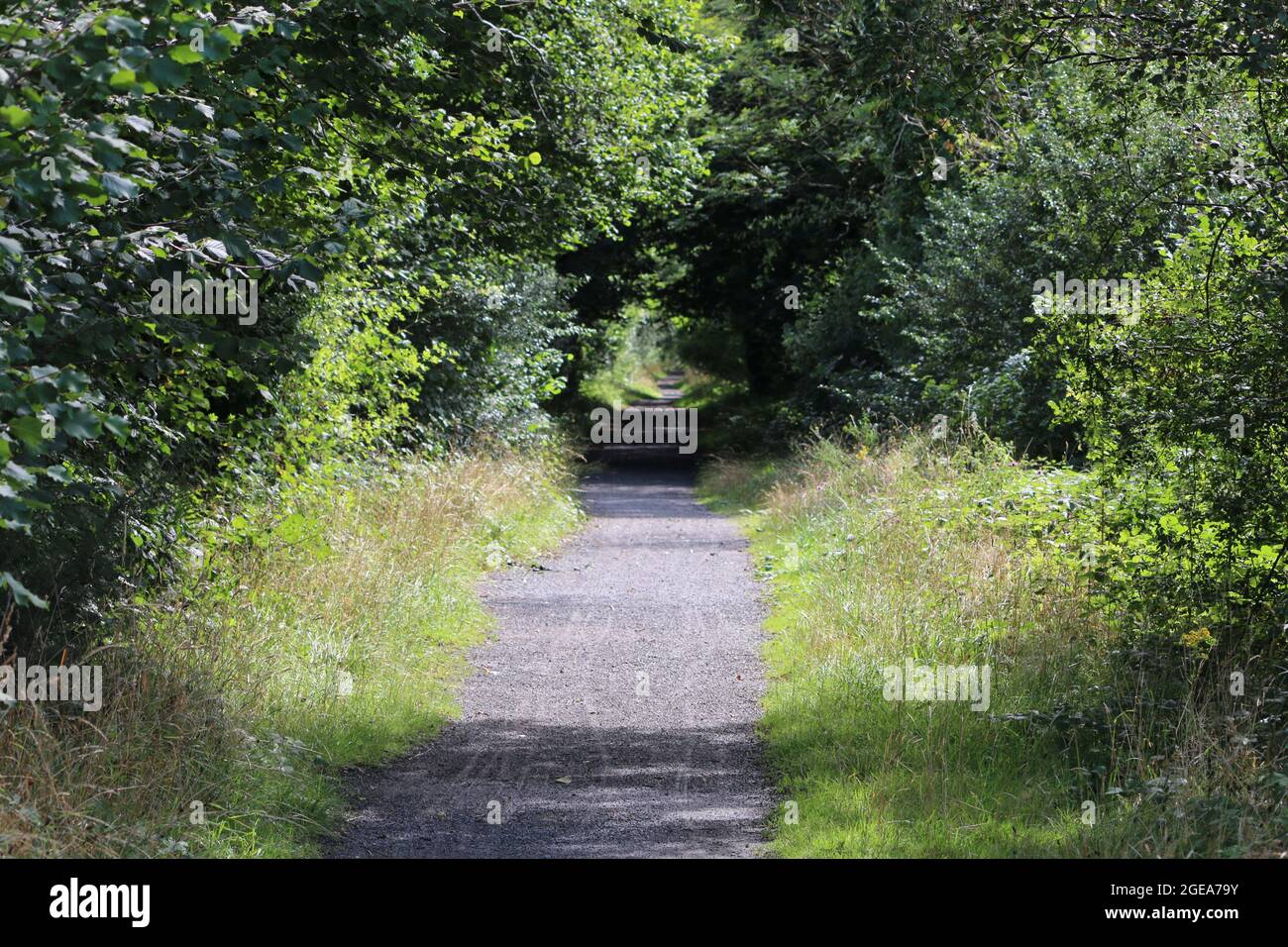 Llanilar ceredigion Galles regno unito meteo 18 agosto 2021. Una mattina luminosa e soleggiata in Galles e una visita ad una stazione ferroviaria abbandonata a Llanilar vicino Aberystwyth. La stazione e la linea chiuse a metà degli anni sessanta e le piattaforme sopravissute sopravvivono con la vecchia linea chiamata Ystwyth Trail usata per gli escursionisti e il ciclismo. Un vicino ponte sospeso attraversa l'adiacente fiume Ystwyth vicino alla vecchia stazione. Credit: mike davies/Alamy Live News Foto Stock