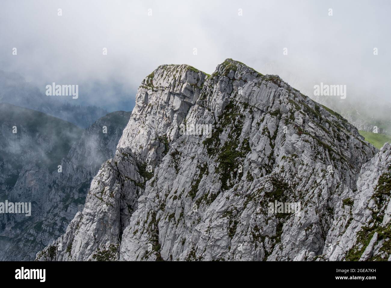 Rockface su Seehorn in nebbia Foto Stock
