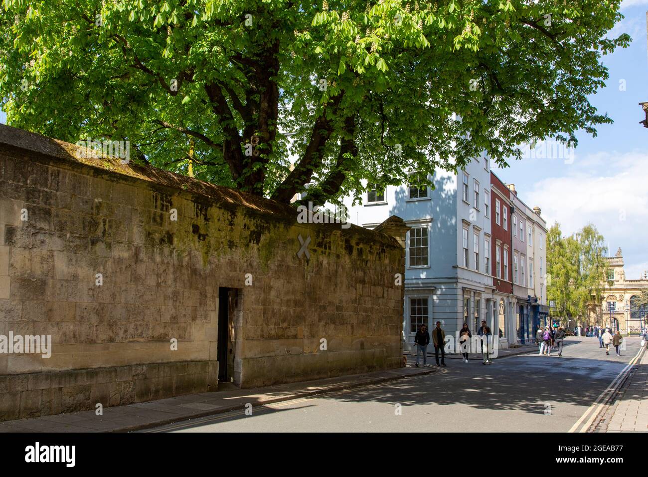 Horse Chestnut nei giardini del Jesus College appeso su un vecchio muro di pietra e il marciapiede su Turl Street di fronte all'Exeter College, Oxford Foto Stock