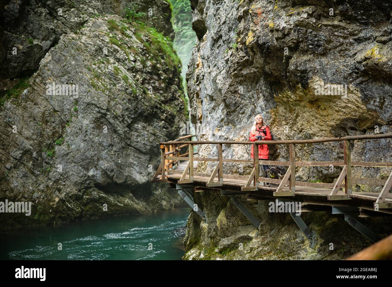 Giovane fotografo femminile in giacca colorata che percorre un sentiero lungo un fiume limpido attraverso la gola di Vintgar in Slovenia Foto Stock