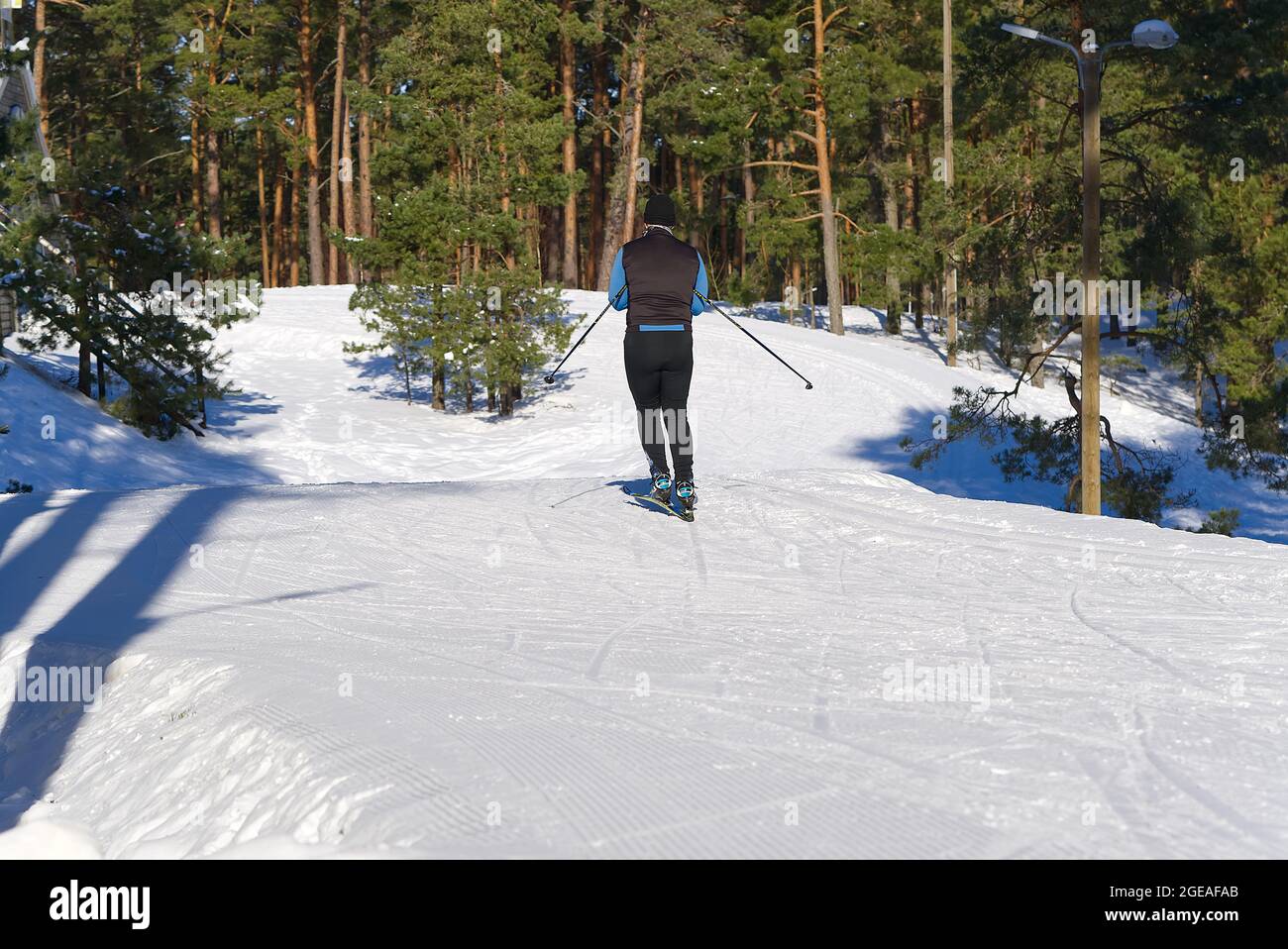 Sci di fondo nella soleggiata giornata invernale. Sci di fondo, primo piano. Foto Stock