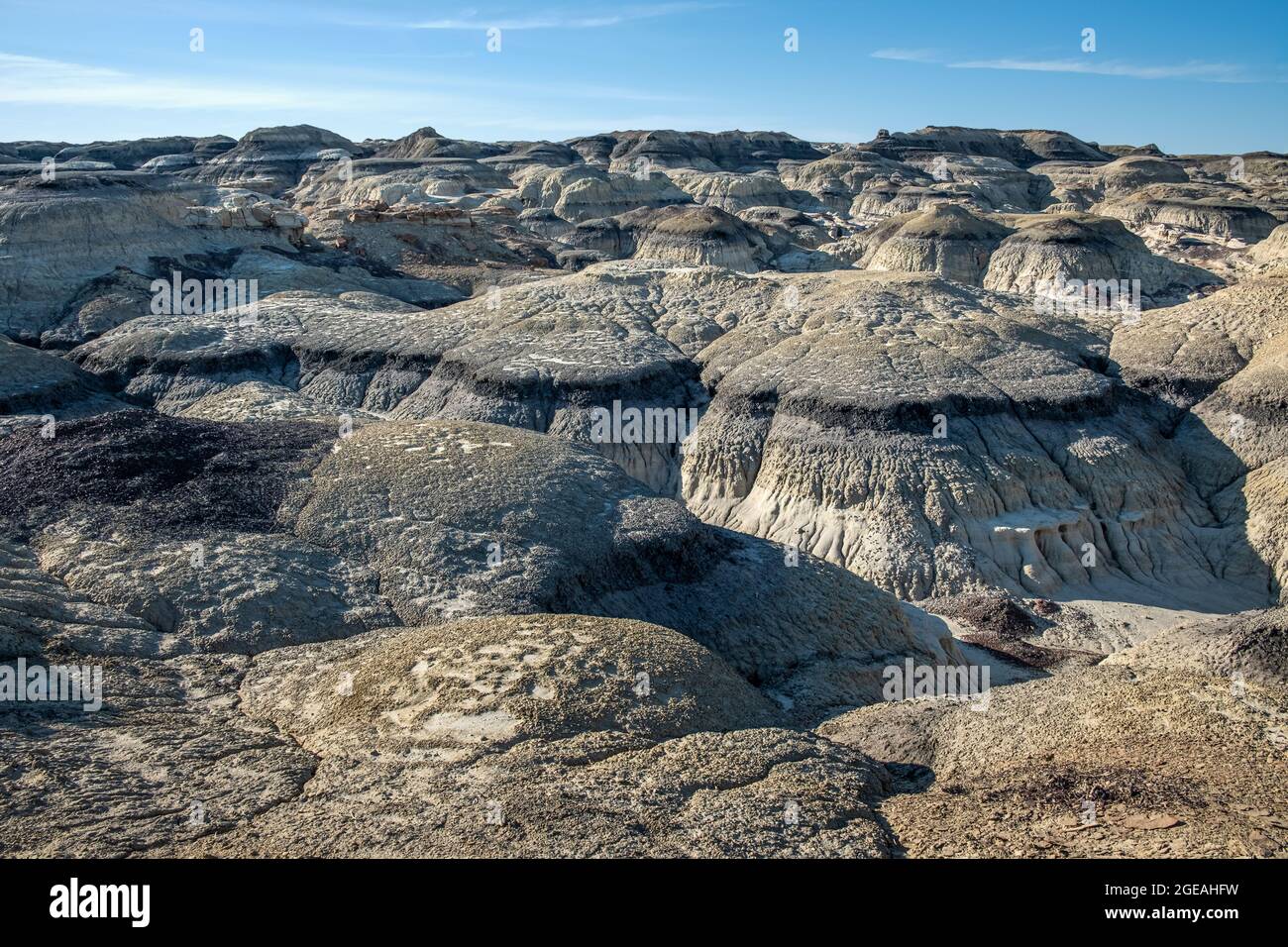 Numerosi tumuli di funghi testurizzati creano un'altra vista mondana Foto Stock