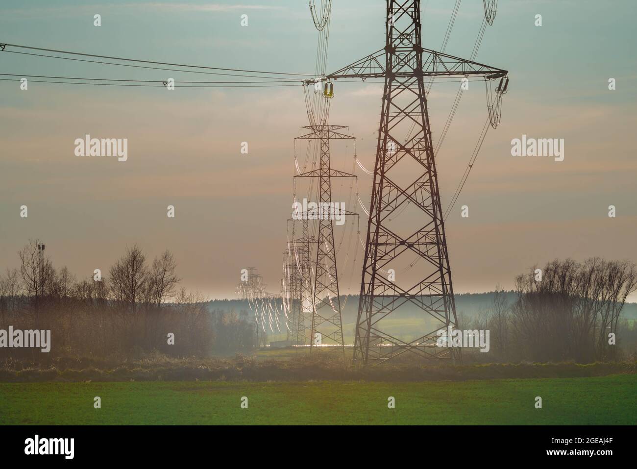 Piloni metallici della linea elettrica sullo sfondo del cielo della sera. Foto Stock