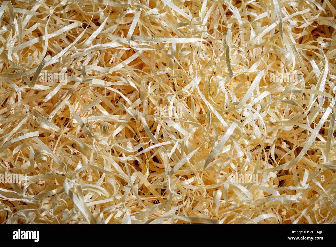 Trucioli di legno dopo la lavorazione del legno. Texture sfondo primo piano vista superiore Foto Stock