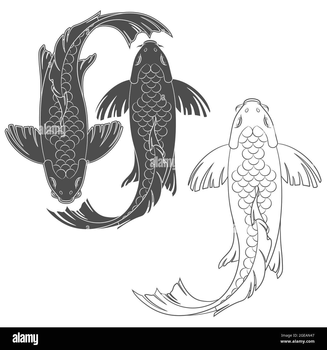 Set di illustrazioni vettoriali con un koi carp a specchio. Oggetti isolati su sfondo bianco. Illustrazione Vettoriale