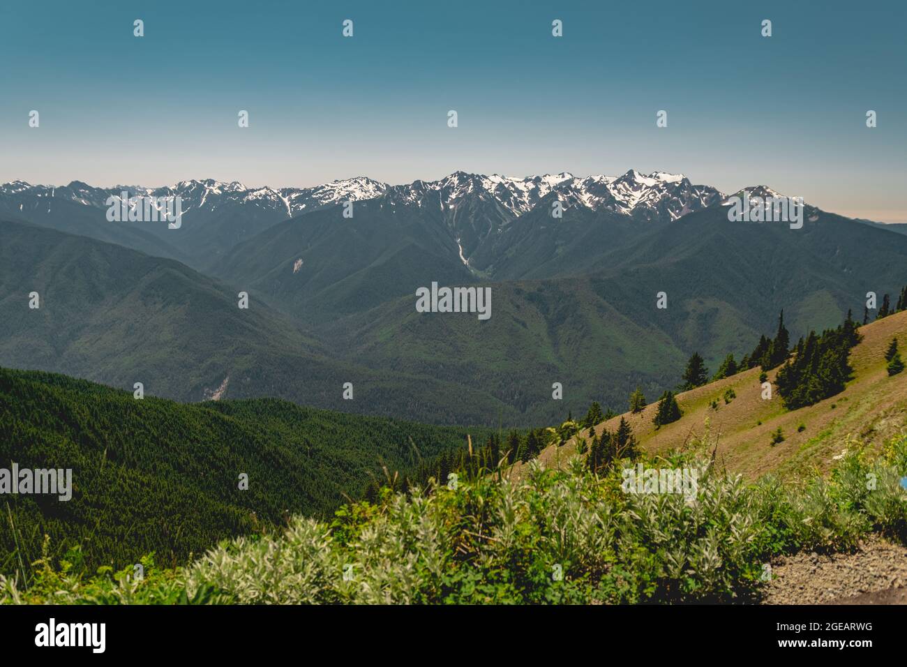 Le montagne olimpiche in estate, vista dal sentiero Hurricane Hill nel Parco Nazionale Olimpico. Foto Stock