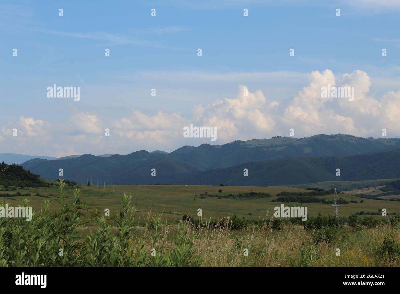 Le montagne dei Carpazi. Foto Stock