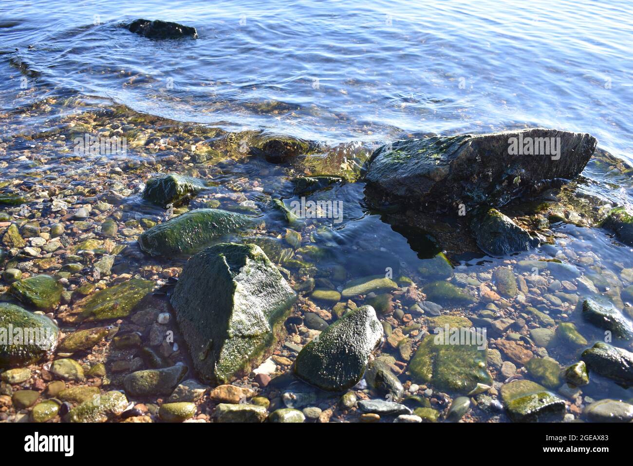 Primo piano dell'acqua dell'oceano dolcemente rotolando in alcune rocce lungo una costa di Rhode Island. Foto Stock