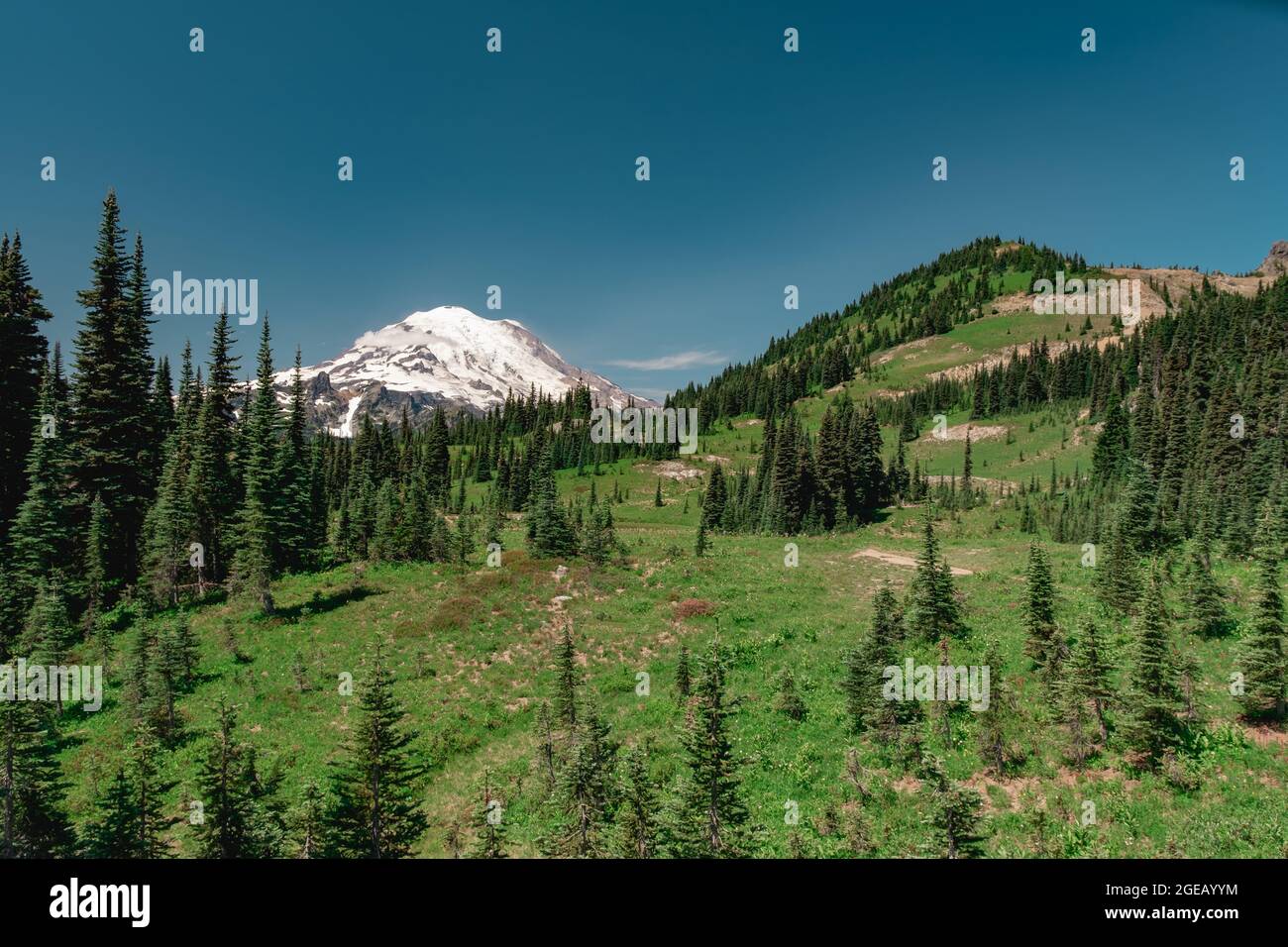 Vista del Monte Rainier sul sentiero Naches Peak Loop Trail nel Monte Parco nazionale di Rainier. Foto Stock