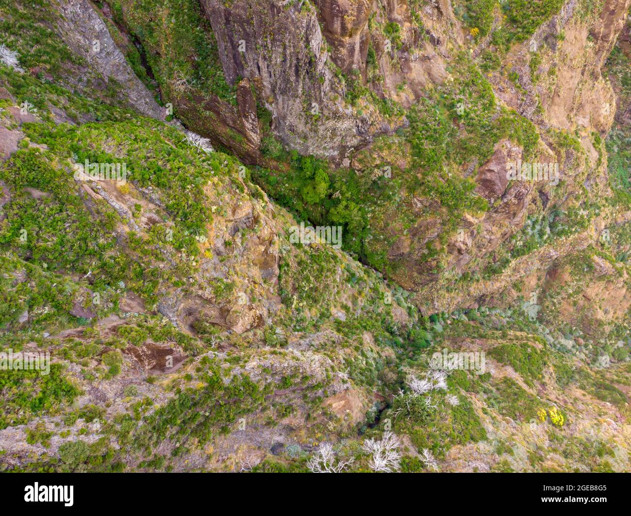 Vista dall'alto delle scarse vegetazioni che crescono in ambienti vulcanici difficili. Foto Stock