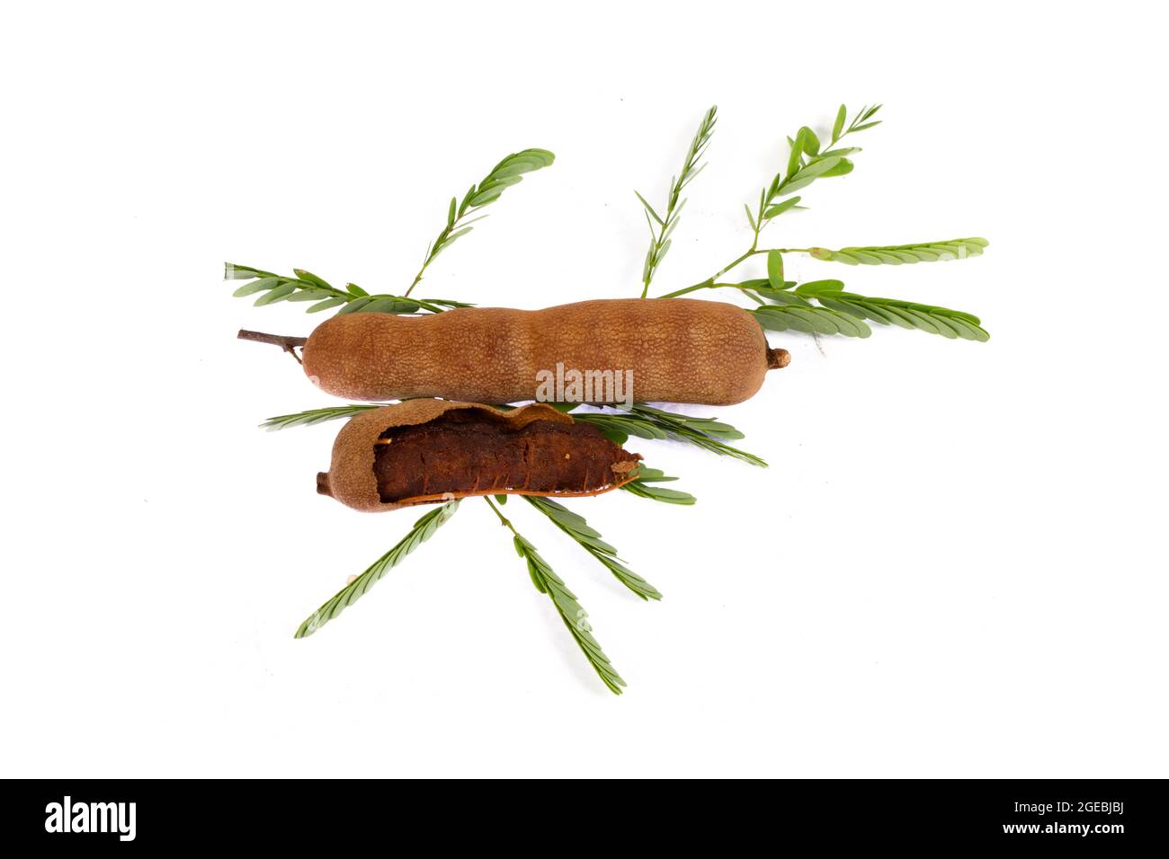 Frutta tamarindus indica Dolce Tamarind frutta in un cestino, sfondo bianco. Foto Stock