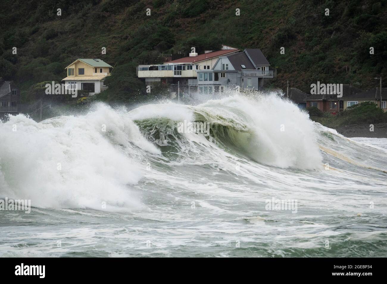 Enormi onde si infrangono in Houghton Bay, Wellington, Nuova Zelanda Foto Stock