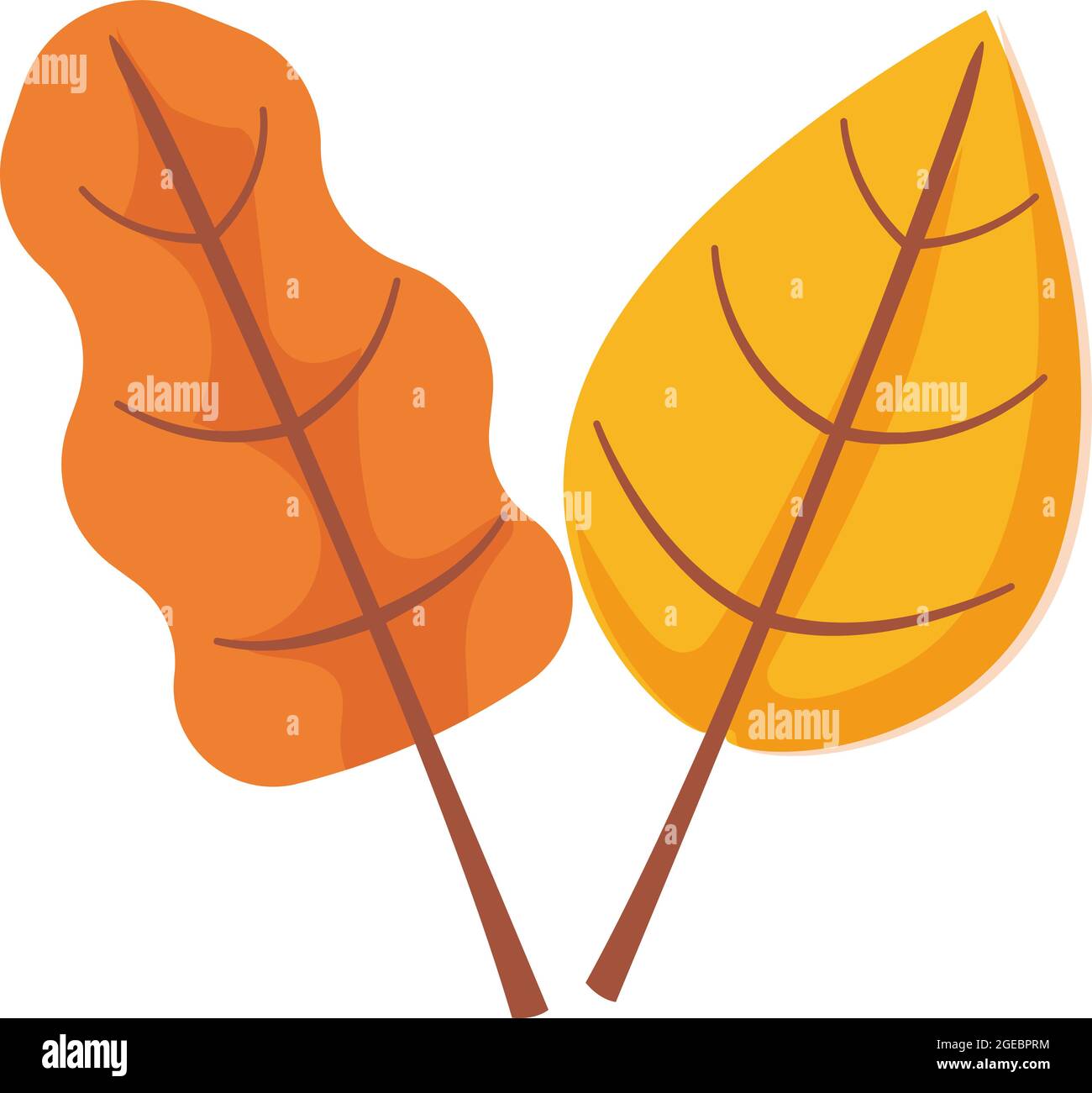 Ritaglio di oggetti foglia autunno. Icona di betulla e quercia Illustrazione Vettoriale