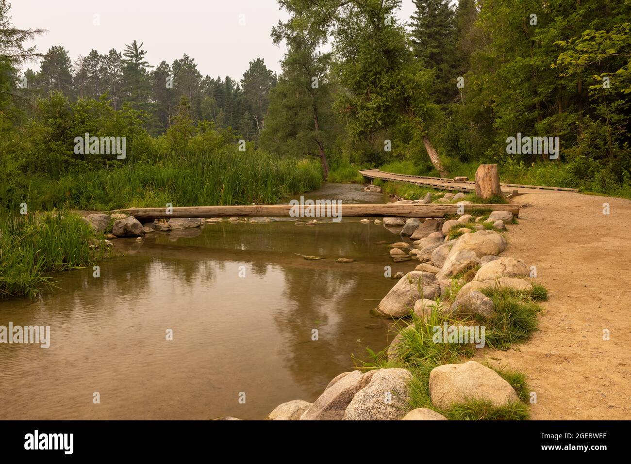 Una passerella di tronchi che attraversa il fiume Mississippi vicino alle sorgenti. Foto Stock